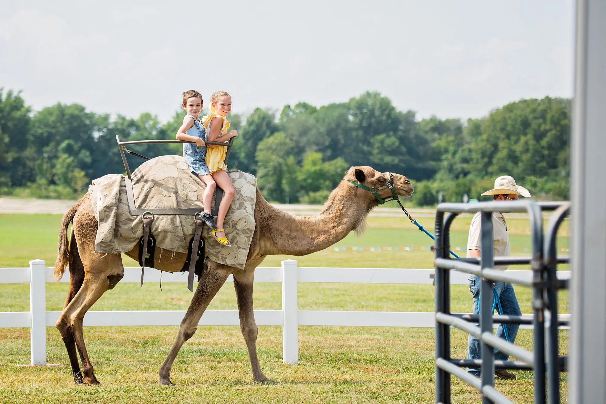Two Kids on Camel Rides