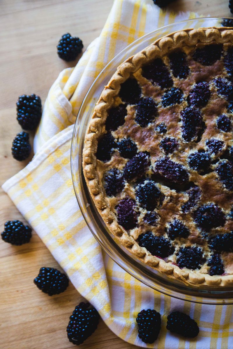 Blackberry-Custard-Pie-3.jpg