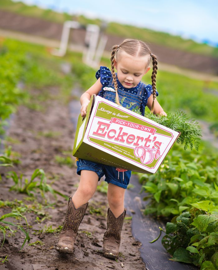 Eckert's Vegetable Garden