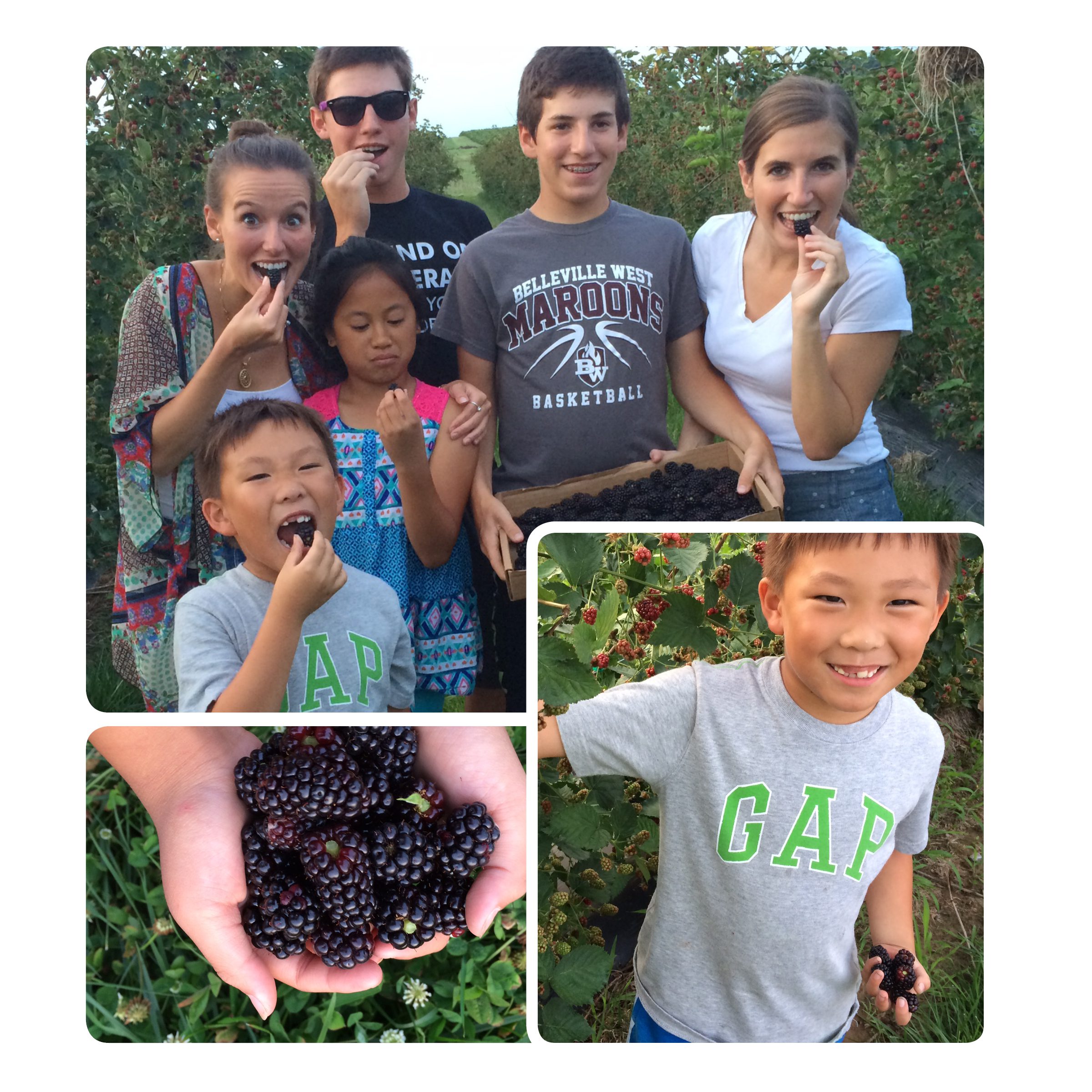 blackberry-picking-for-blog.jpg