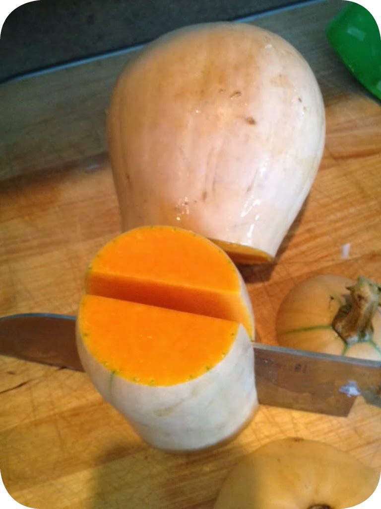 Homegrown Squash