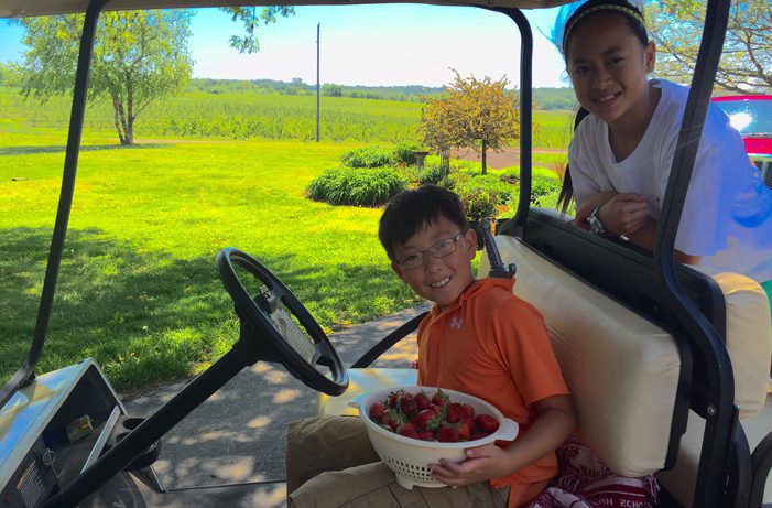 kids on cart