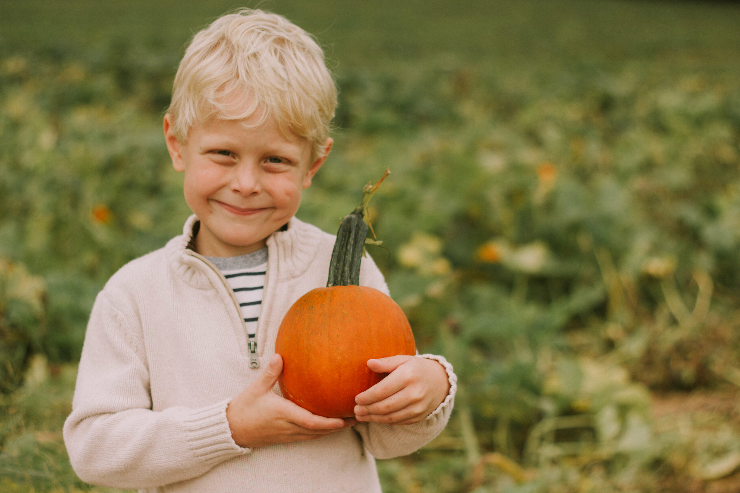 Pumpkin Picking