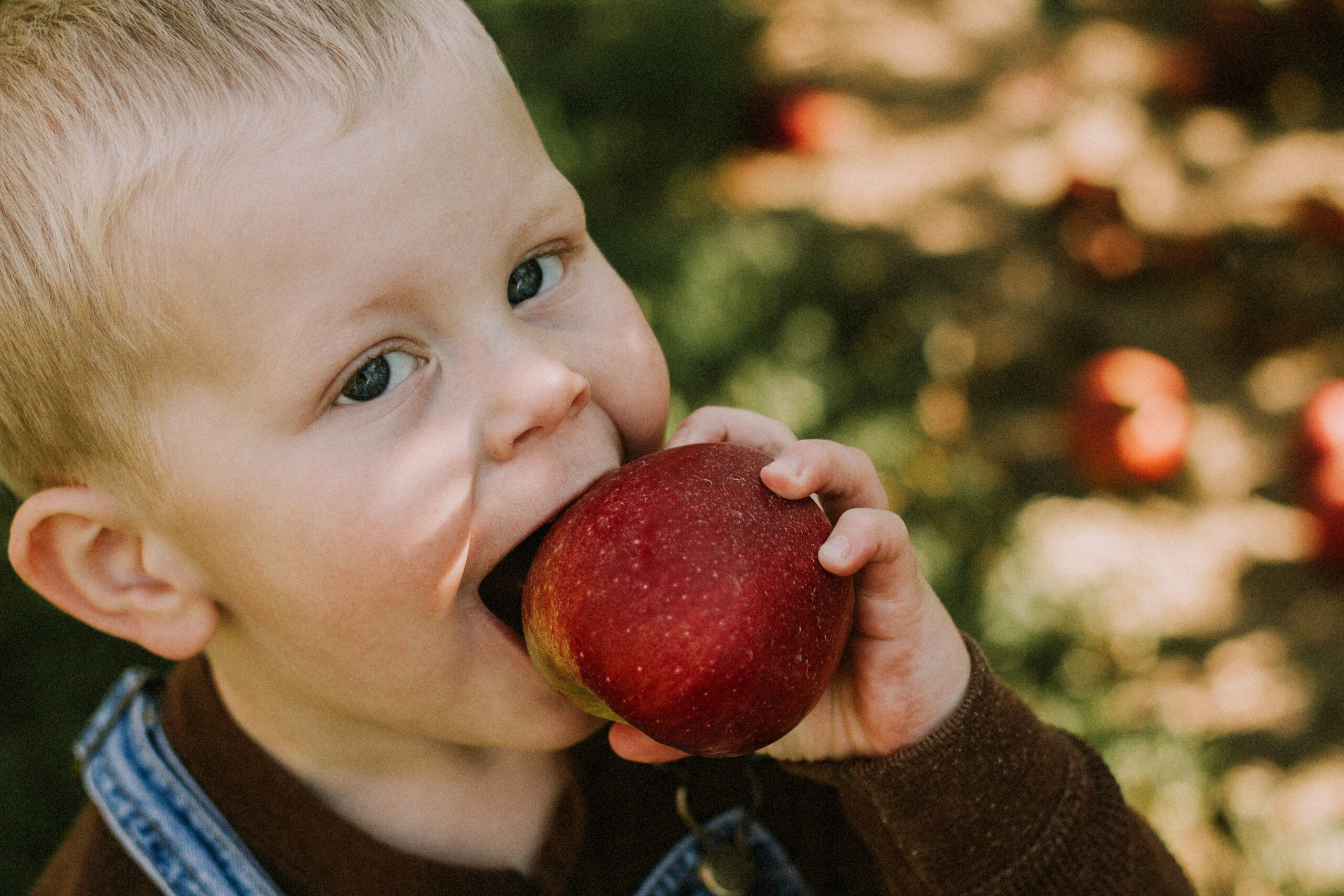 eating an apple